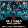 Desková hra D&D Idols of the Realms - 2D Acrylic Miniatures - The Wild Beyond the Witchlight Set1