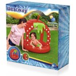 Bestway 52387 VERY BERRY 91x91x91cm – Zboží Mobilmania