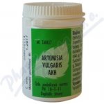 AKH Artemisa Vulgaris 60 tablet – Hledejceny.cz