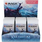Wizards of the Coast Magic The Gathering: Kaldheim Set Booster Box – Hledejceny.cz