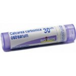 CALCAREA CARBONICA POR 30CH GRA 1X4G – Hledejceny.cz