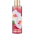 Jeanne en Provence Pivoine Féerie sprchový gel 250 ml