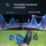 Sony Bravia XR-65A80L – Zboží Živě