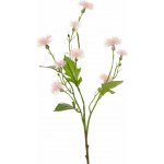Chrpa světle růžová/Centaurea větvička 9 květů, 2 pupeny, 55cm – Zbozi.Blesk.cz