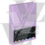 Karton P+P Katalogový pořadač A4 Pastelini 4 KR. D30 40mm 5-147 fialový, – Zboží Živě