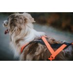 Non-stop Dogwear Postroj Rush – Zboží Dáma