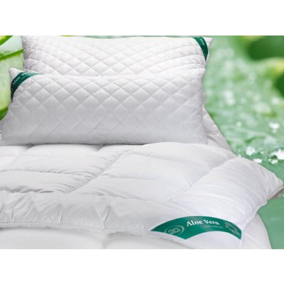 2G Lipov soupravy Aloe Vera celoroční 1+1 2 přikrývky+2 polštáře 220x200 2x70x90 – Zboží Dáma