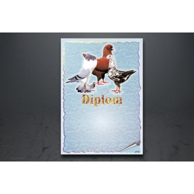 Diplom holubi D221/D221 – Zboží Dáma