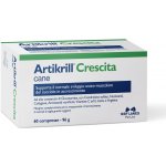 NBF Lanes artikrill crescita pes podpora kloubního metabolismu 60 kps – Hledejceny.cz