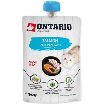 ONTARIO Pasta pro kočky Adult z lososa 90 g – Hledejceny.cz