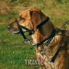 Výcvik psů Trixie Top Trainer ohlávka proti táhnutí M