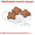 Royal Canin Mini Adult 8+ 8 kg – HobbyKompas.cz