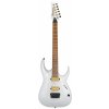 Elektrická kytara Ibanez JBM10FX