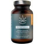 Herbalus Testosteronus 60 kapslí – Hledejceny.cz