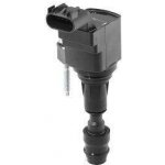 Zapalovací cívka BorgWarner (BERU) ZSE212 – Hledejceny.cz