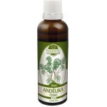 Milota Andělika čínská 50 ml – Hledejceny.cz