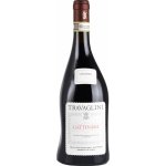 Travaglini Gattinara červené 2020 13,5% 0,75 l (holá láhev) – Hledejceny.cz