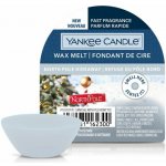 Yankee Candle vonný vosk North Pole Hideaway 22 g – Hledejceny.cz