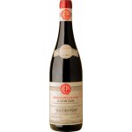 Emidio Pepe Montepulciano d'Abruzzo 2022 Červené 13,5% 0,75 l (holá láhev) – Hledejceny.cz