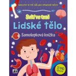 Jiri Models Samolepková knížka svítí ve tmě Lidské tělo – Zboží Dáma