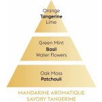 Maison Berger Paris difuzér Mini Revelry Voňavá mandarinka 80 ml – Hledejceny.cz