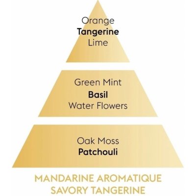 Maison Berger Paris difuzér Mini Revelry Voňavá mandarinka 80 ml – Hledejceny.cz