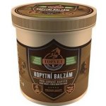 Topvet Kopytní balzám pro zdravé kopyto 500ml – Zboží Dáma Topvet Kopytní balzám pro zdravé kopyto 500ml – Zboží Dáma