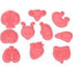 Sada vykrajovátek - Kawaii orgány Velikost: 8-10 cm – Hledejceny.cz
