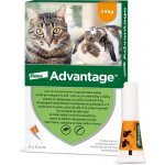 Advantage Spot-on pro malé kočky a králíky 40 mg 4 x 0,4 ml – Hledejceny.cz