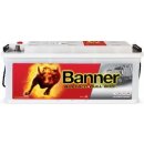 Banner Buffalo Bull SHD 12V 110Ah 760A SHD610 40