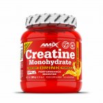 Amix Creatine Monohydrate 360 g – Hledejceny.cz