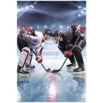 Jerry Fabrics Osuška Lední hokej 70 x 140 cm – Zboží Mobilmania