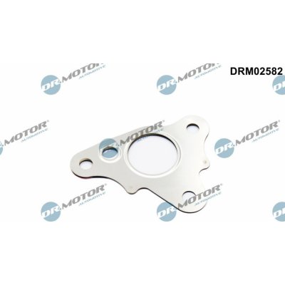 Dr.Motor Automotive Těsnění, vedení AGR ventilu DRM02582 – Hledejceny.cz