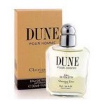 Christian Dior Dune toaletní voda pánská 100 ml – Zboží Mobilmania