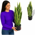 vidaXL Umělá rostlina sansevieria s květináčem 65 cm zelená – Hledejceny.cz