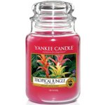 Yankee Candle Tropical Jungle 623 g – Zbozi.Blesk.cz