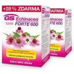 GS Echinacea Forte 600 2 x 90 tablet – Hledejceny.cz