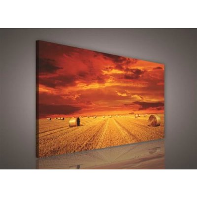 Obraz na plátně pole po žních 198O1, 100 x 75 cm, IMPOL TRADE – Zboží Mobilmania