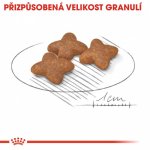 Royal Canin Mini Adult 2 x 8 kg – Hledejceny.cz