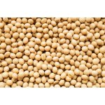 Les fruits du paradis Sojové boby BIO 25 kg – Hledejceny.cz
