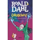 Čarodějnice - Roald Dahl