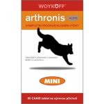 Arthronis ACUTE Mini 60 tbl – Hledejceny.cz