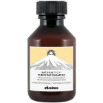 Davines Naturaltech Purifying Shampoo 100 ml – Hledejceny.cz