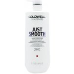 Goldwell Dualsenses Just Smooth Taming Conditioner 1000 ml – Zboží Mobilmania