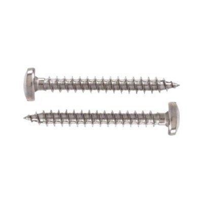 Vrut s půlkulatou hlavou, TORX drážka, nerez A4 5 x 50, balení 1 ks – Zboží Mobilmania