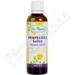 Dr.Popov Kapky bylin.Pampeliš.kořen 50 ml – Hledejceny.cz