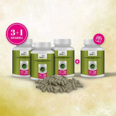 Herbavis Chanca Piedra 4 x 100 kapslí – Hledejceny.cz