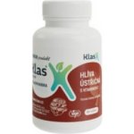 Klas Hlíva ústřičná s vitaminem C 90 tablet – Hledejceny.cz