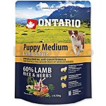 Ontario Puppy Medium Lamb & Rice 0,75 kg – Hledejceny.cz