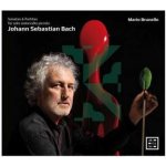 Johann Sebastian Bach - Sonatas & Partitas For Solo Violoncello Piccolo CD – Hledejceny.cz